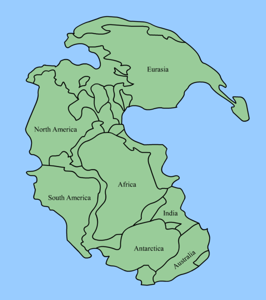 533px-pangaea_continents.png