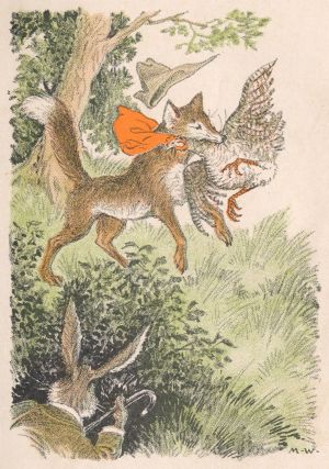 brushtail_the_fox_-_milo_winter_-_project_gutenberg_etext_18667.jpg