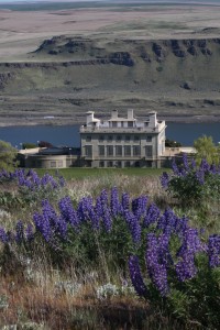 Maryhill Museum with spring lupines. Photo: NYLAND WILKINS