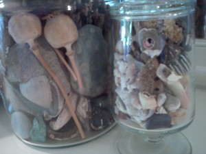 Life and death in a jar. Photo: Laura Grimes