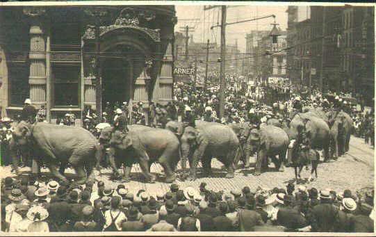 Circus Parade, Albany, NY, ca. 1910