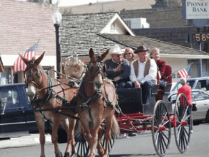 2002 Grand Marshall Merl Hawkins, wife Carol and daughter Jenny. Larry Waters driving his mules Bert & Ernie 