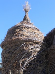 The dome of Patrick Dougherty's stick-structure in Ketchum, Idaho.