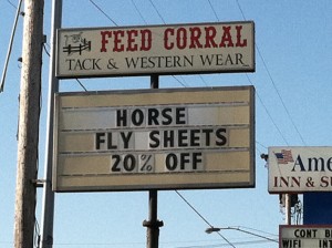 Horse fly sheets